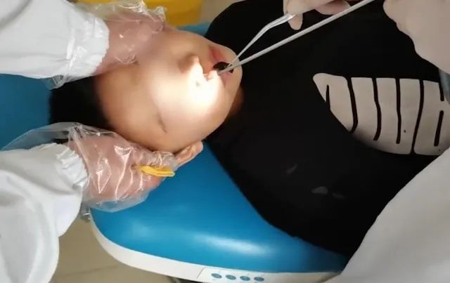 春城晚报