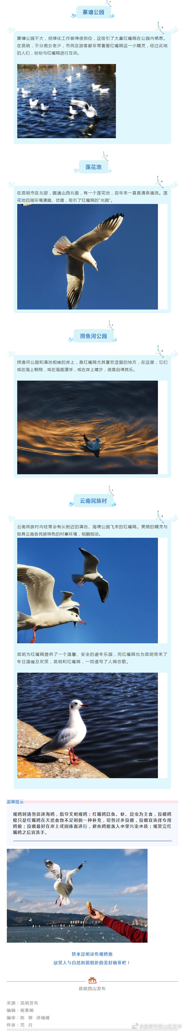 “昆明市西山区发布”微博