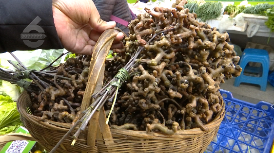 昆明信息港
