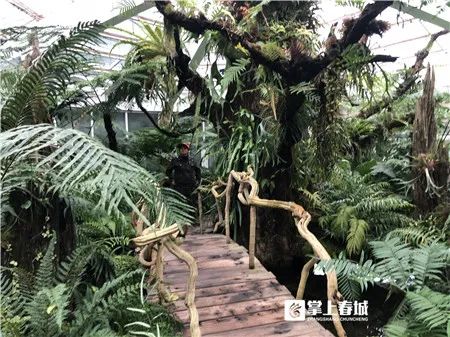 掌上春城