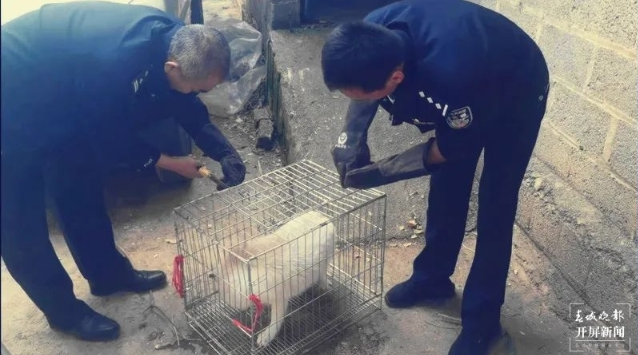 昆明信息港