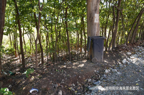 昆明阳宗海风景名胜区(微信)