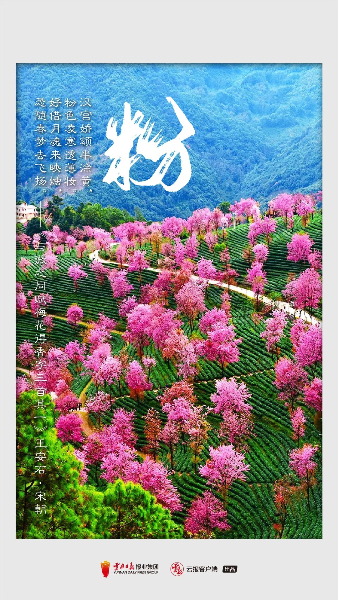 文旅云南(微信)