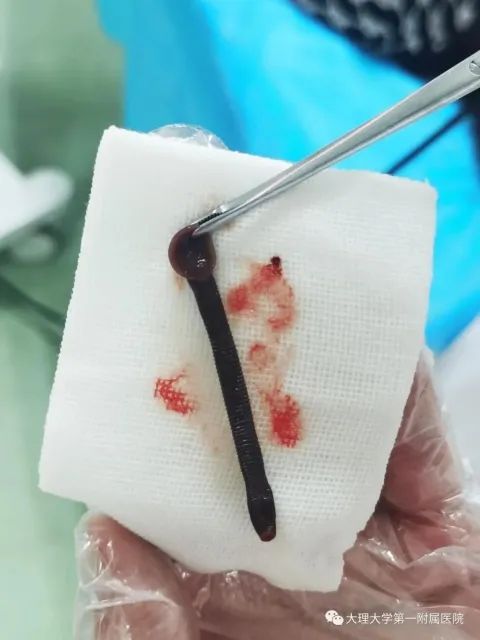 春城晚报