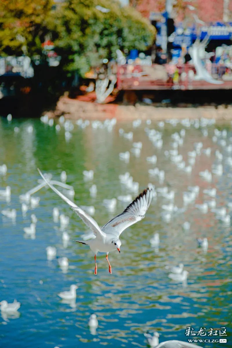 昆明信息港/cnkmxxg