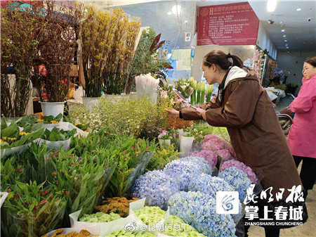 昆明信息港