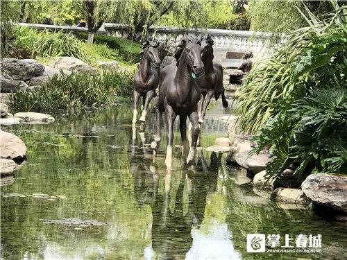 昆明发布