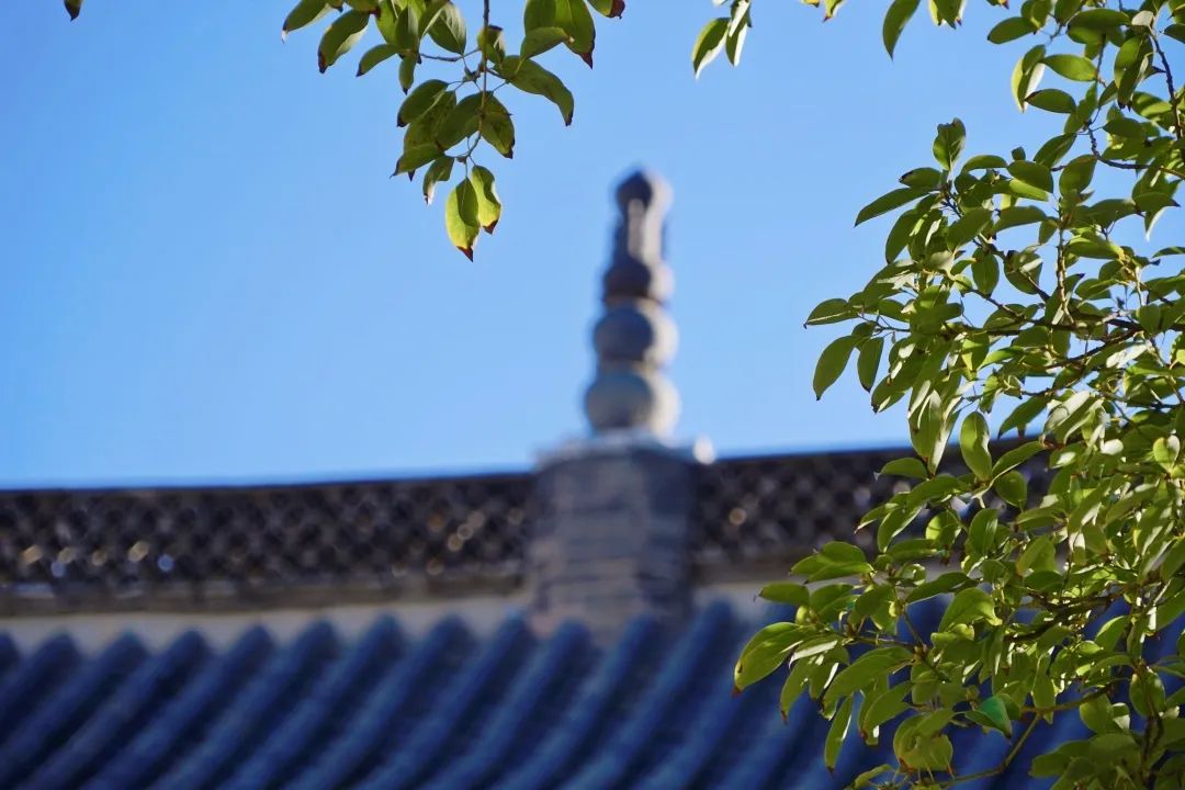 红河文旅