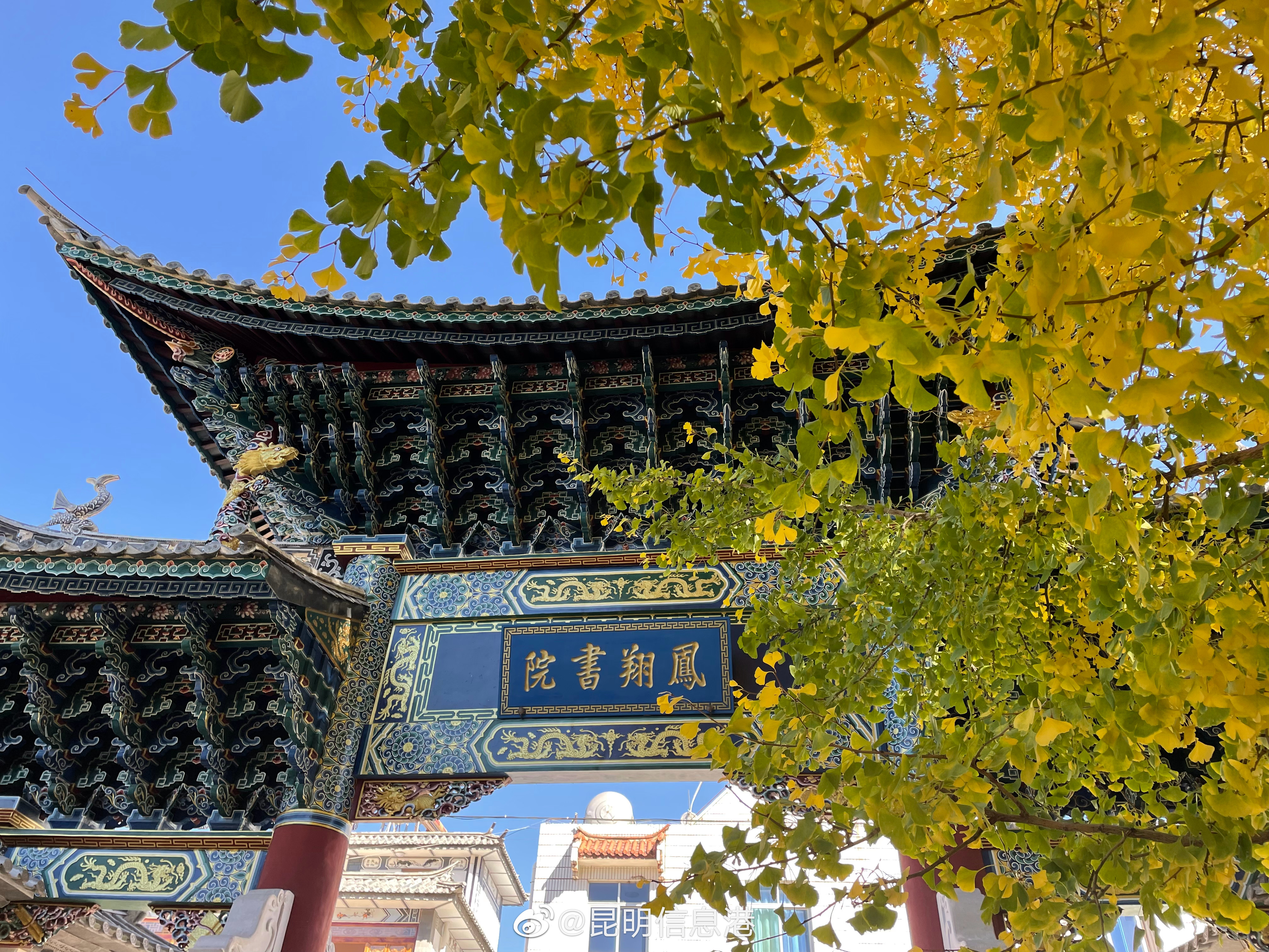 昆明信息港