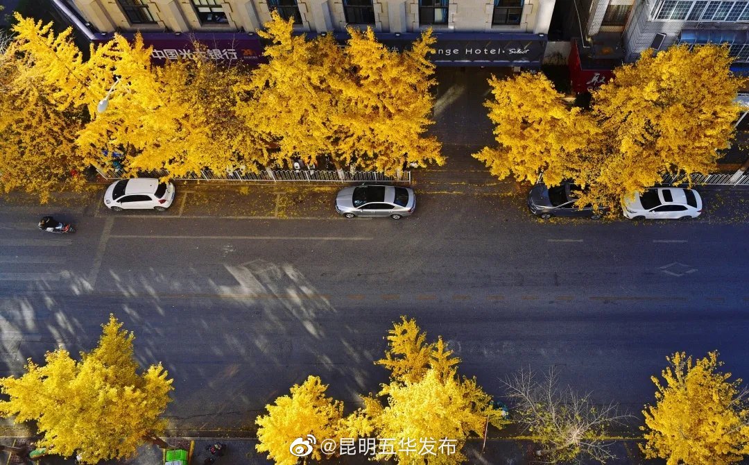 “昆明五华发布”微博