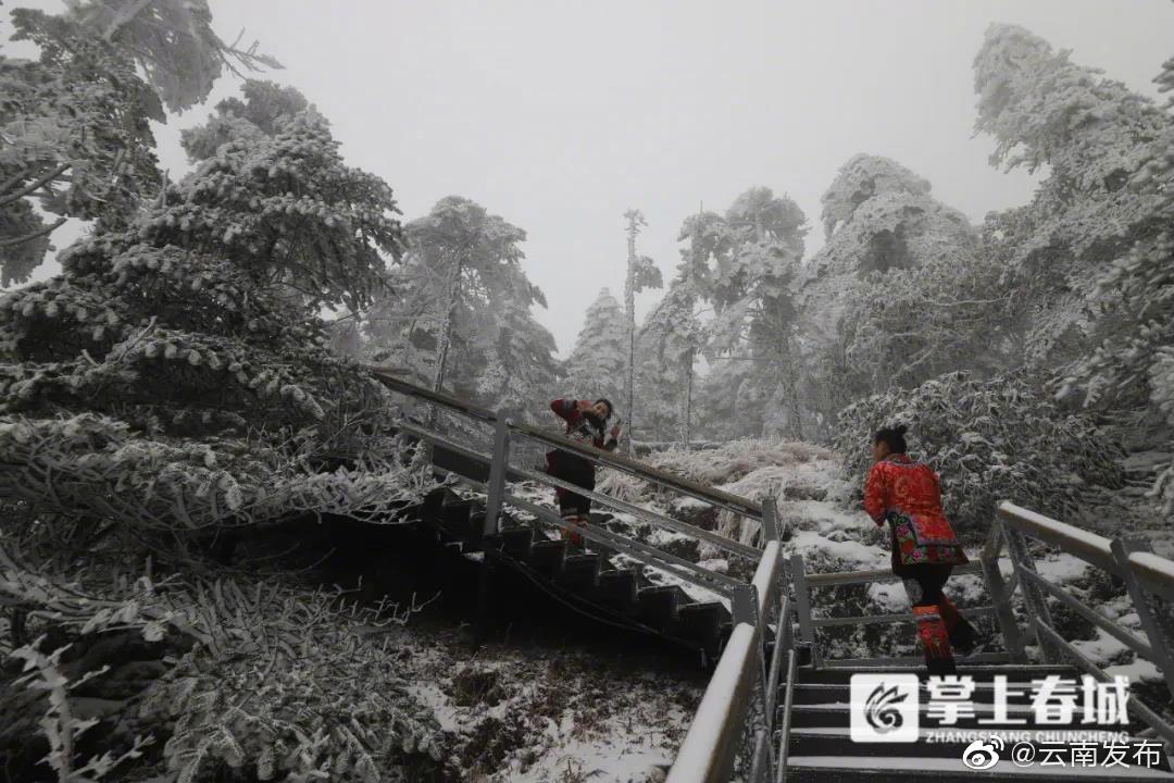 “云南发布”微博