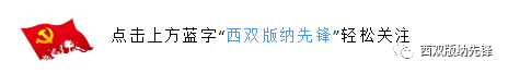 西双版纳先锋