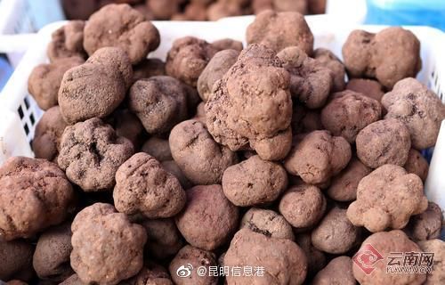 昆明信息港