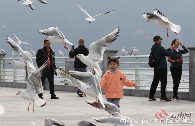“昆明经济技术开发区管委会”微博