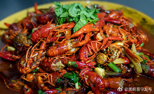 昆明晋宁发布