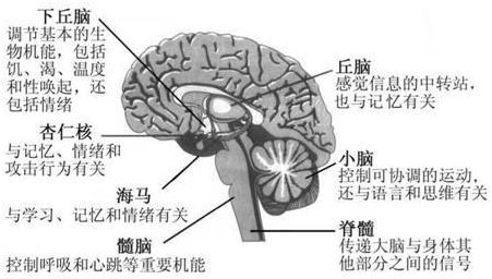 云南省中医医院