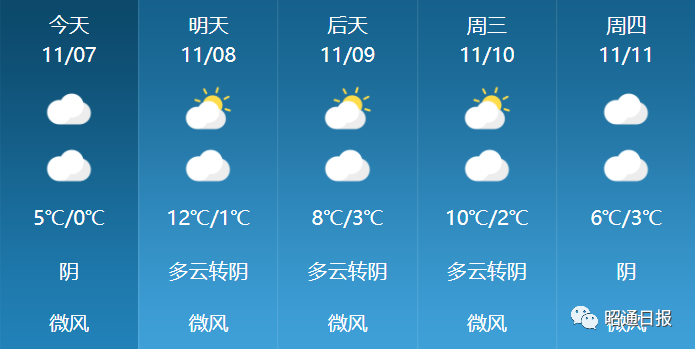云南信息报
