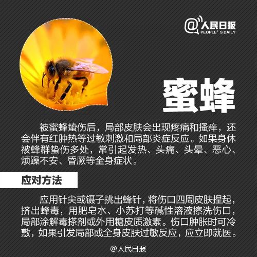 春城晚报