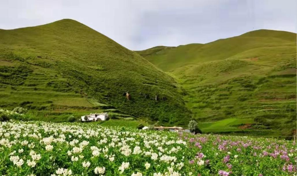 昆明市农业农村局