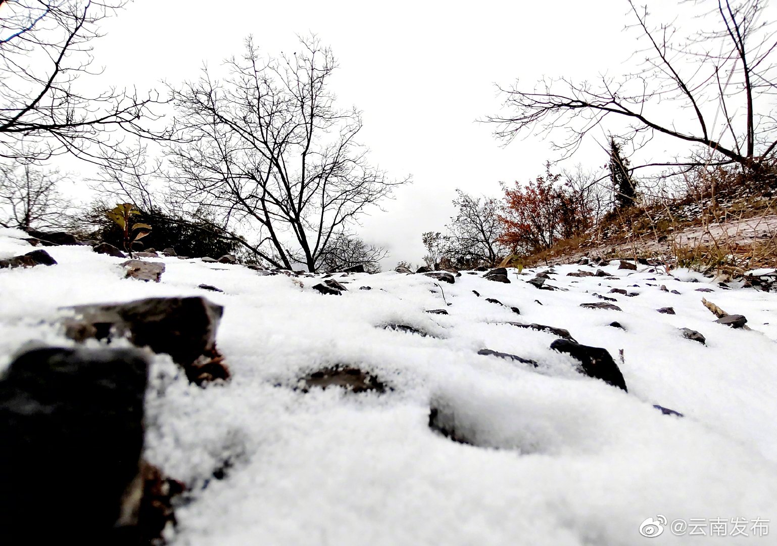 “云南发布”微博