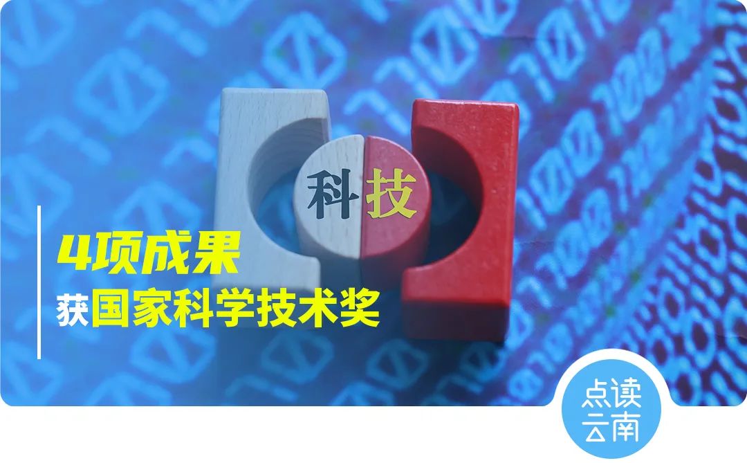 云南省人民政府网