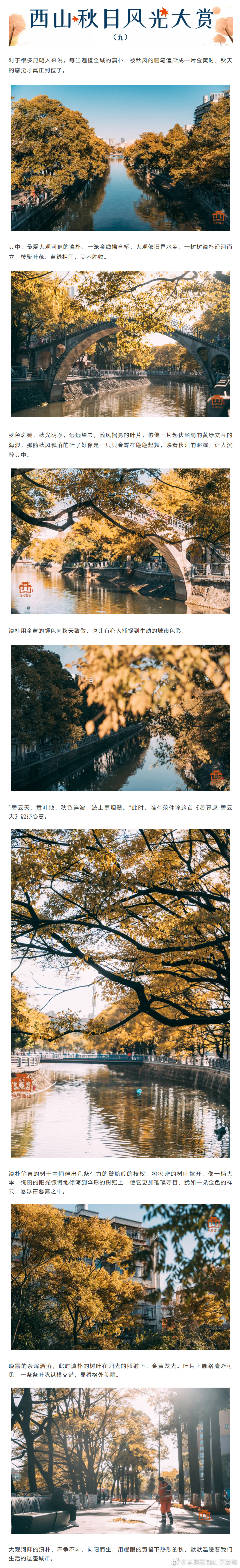 “昆明市西山区发布”微博