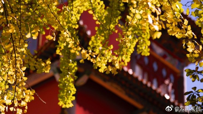 “云南发布”微博