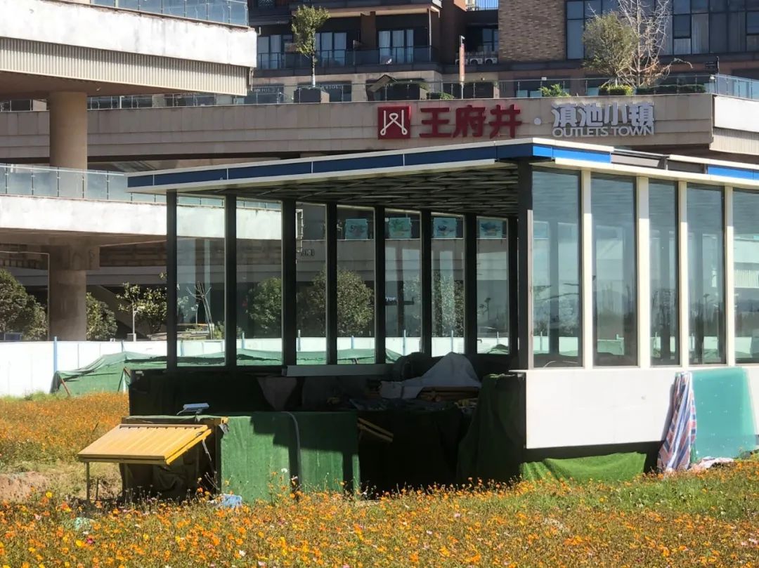 掌上春城微信公众号