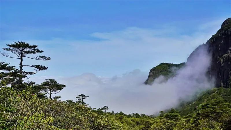 文旅云南