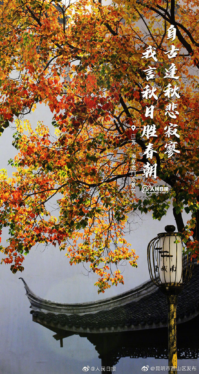 “昆明市西山区发布”微博