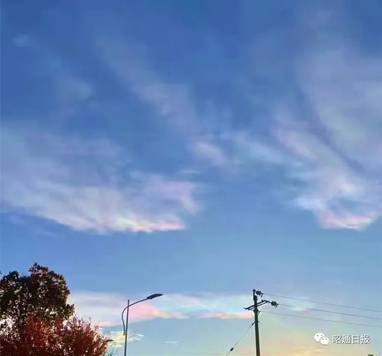 昭通日报