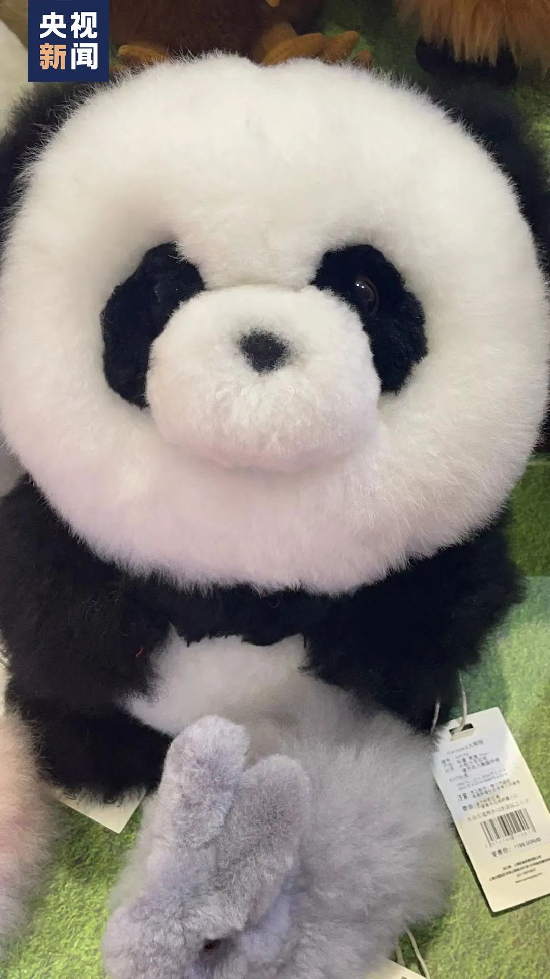 玉溪发布