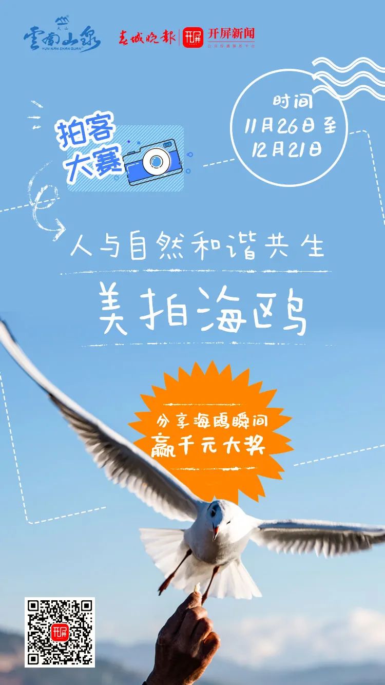 春城晚报