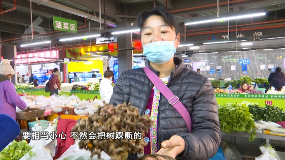 昆明信息港