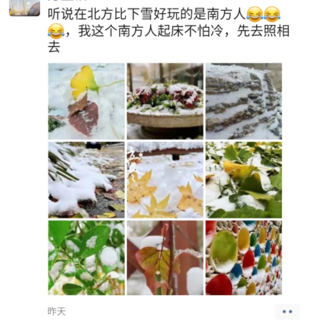 云南信息报