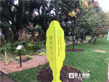 掌上春城