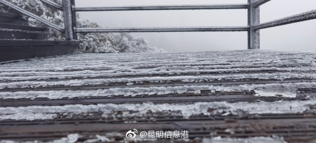 昆明信息港