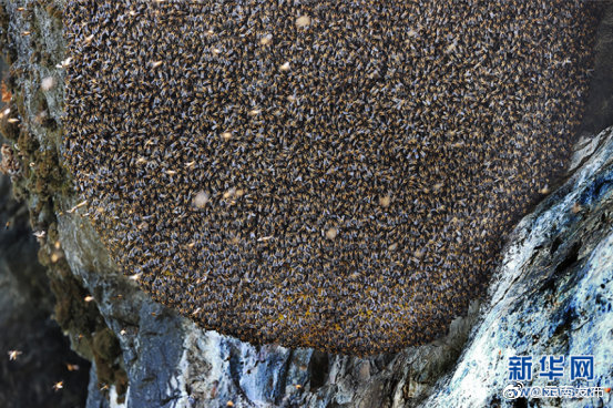 “云南发布”微博