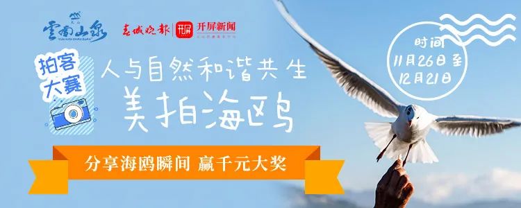 春城晚报