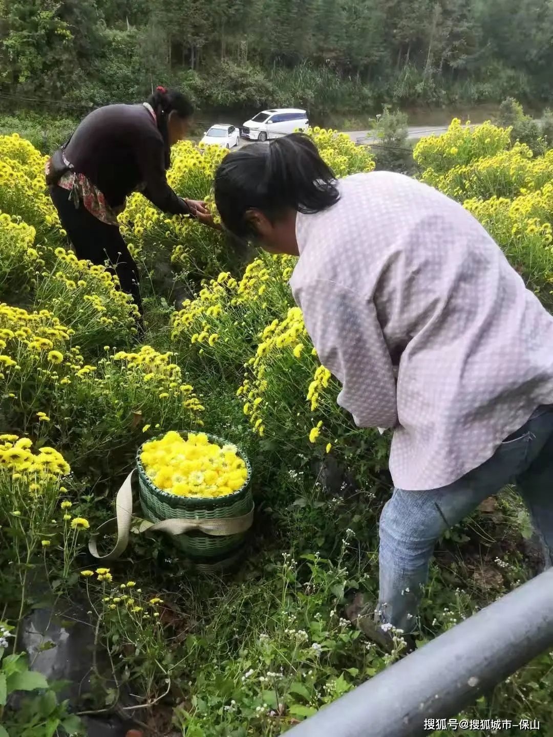 保山新闻网