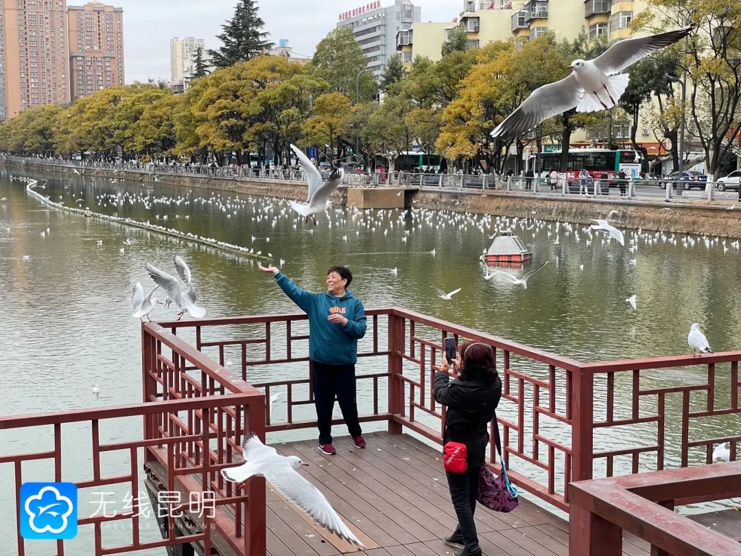昆明发布
