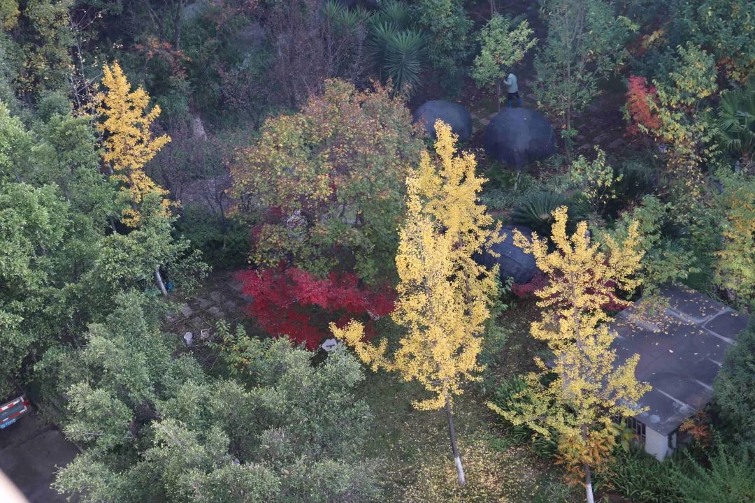 宜良检察(微信)