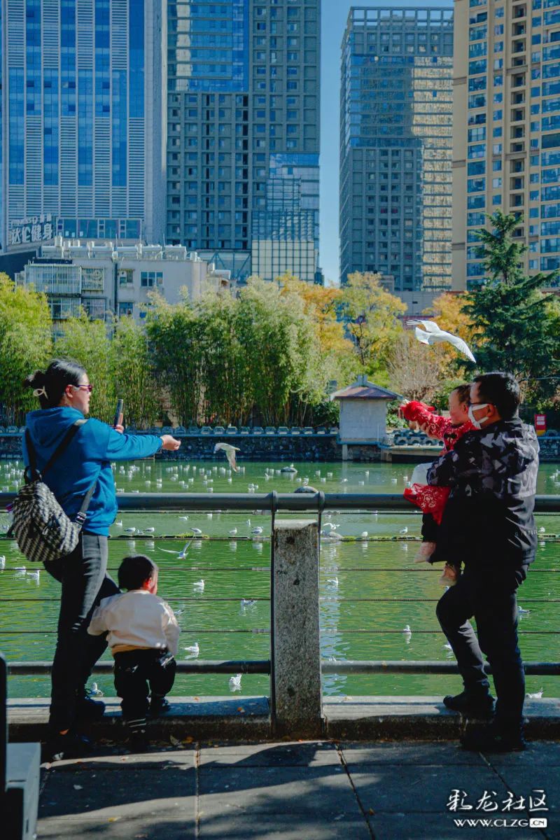 昆明信息港/cnkmxxg