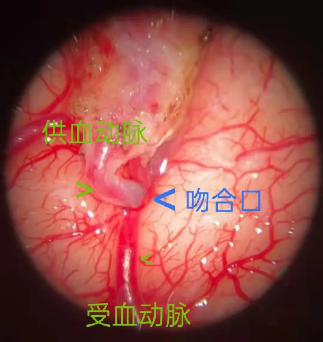 西双版纳傣族自治州人民医院