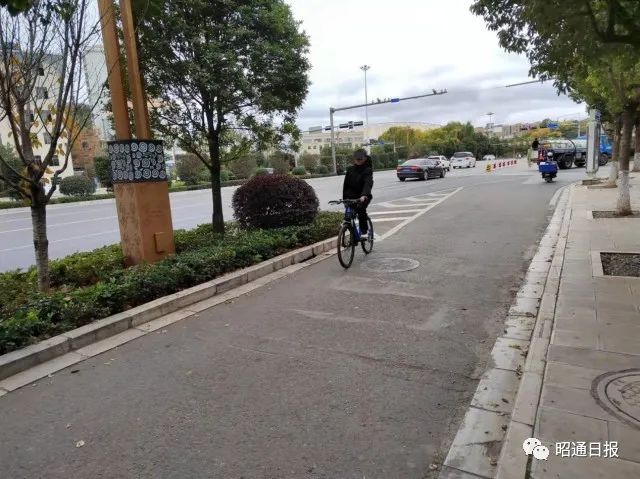 昭通日报