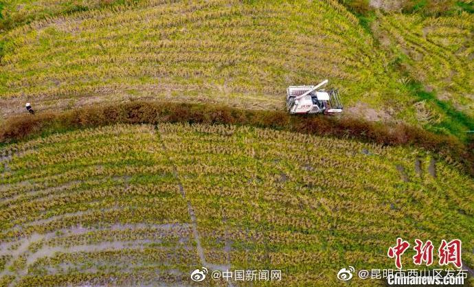 农业农村部回应抢购米面粮油现象：粮食保供稳价基础十分牢固