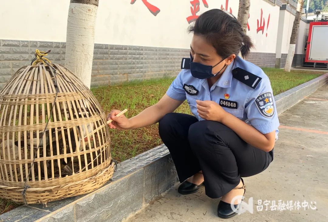保山广播电视台(微信)