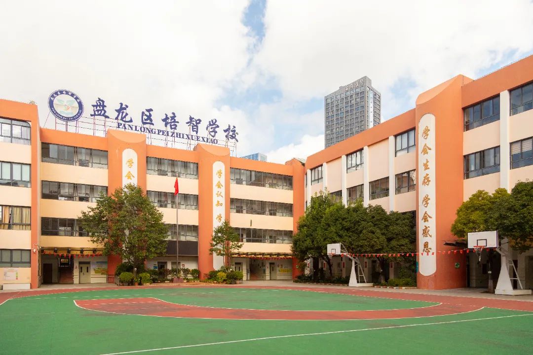 盘龙教育(微信)