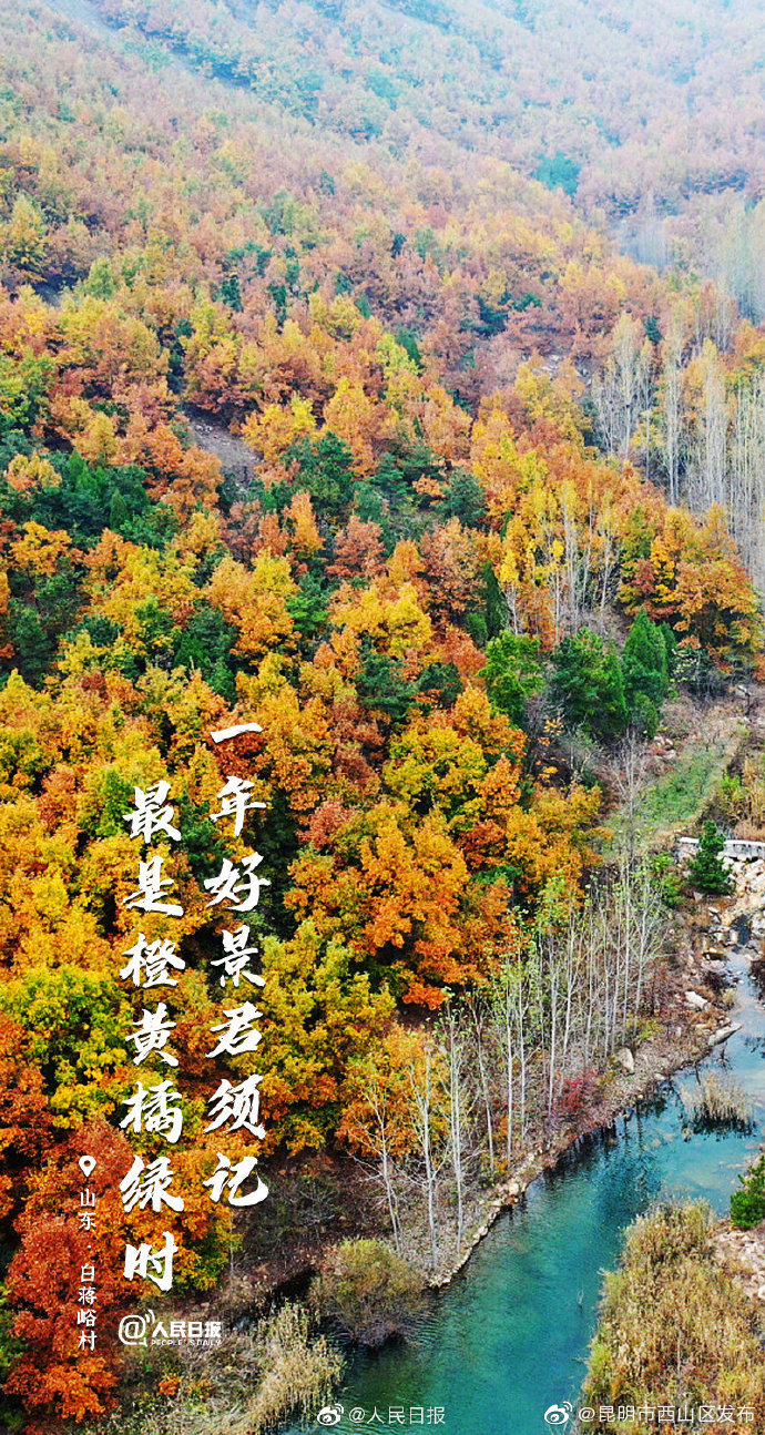 “昆明市西山区发布”微博