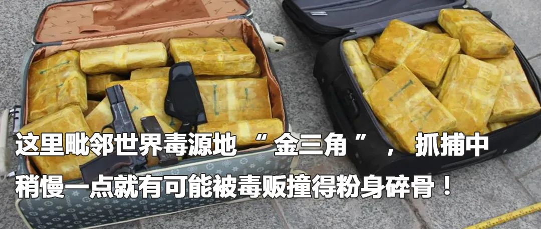 云南政法(微信)